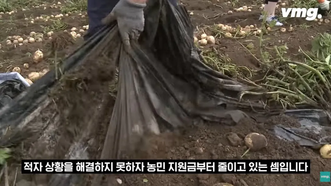 적자매장 비율 57% 심각한 하나로마트 상황