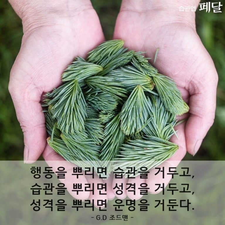 인생이 이유없이 불행하게 느껴진다면 습관 점검
