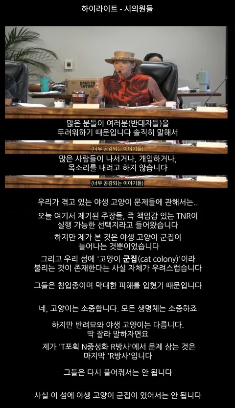 하와이 고양이 근황 feat. 용기