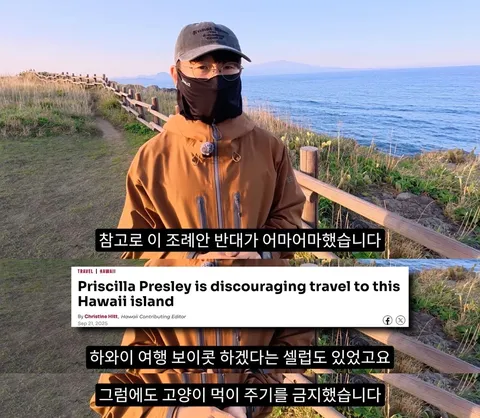 하와이 고양이 근황 feat. 용기