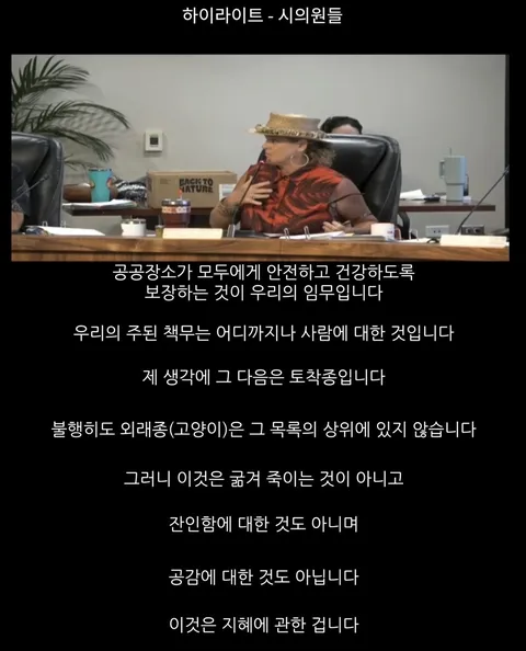 하와이 고양이 근황 feat. 용기