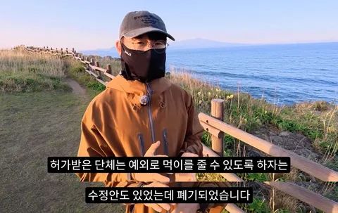 하와이 고양이 근황 feat. 용기