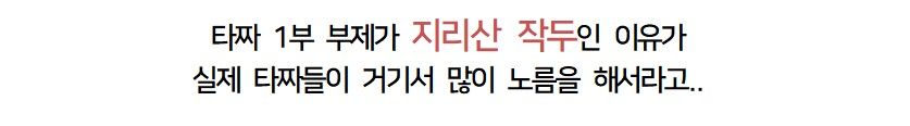 허영만 작가의 타짜 비하인드 스토리