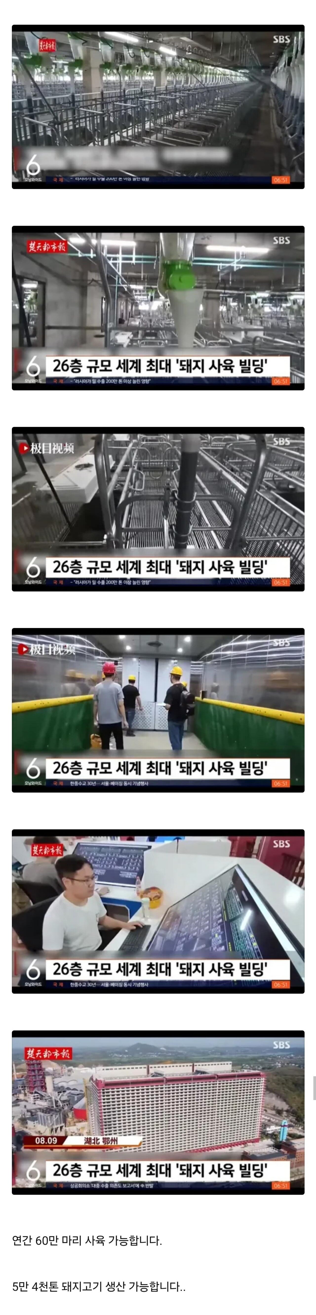 중국 돼지 공장 ㄷㄷㄷ