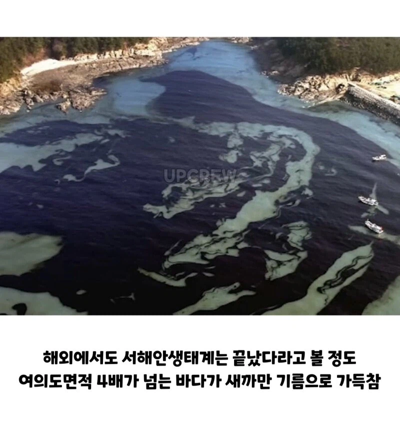 한국인들아 너희 그거 복구하는 데 20년 걸린다