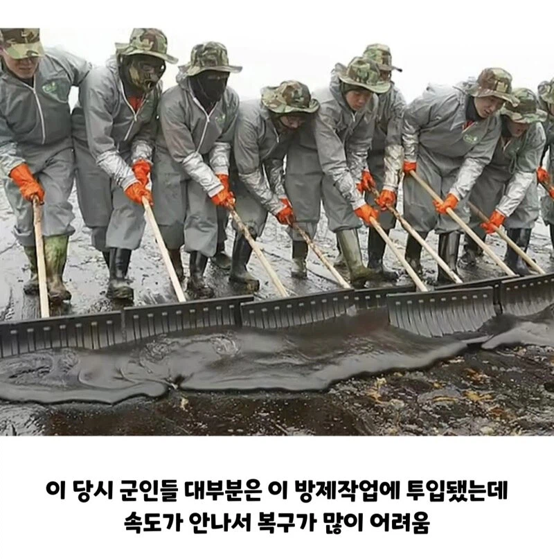 한국인들아 너희 그거 복구하는 데 20년 걸린다