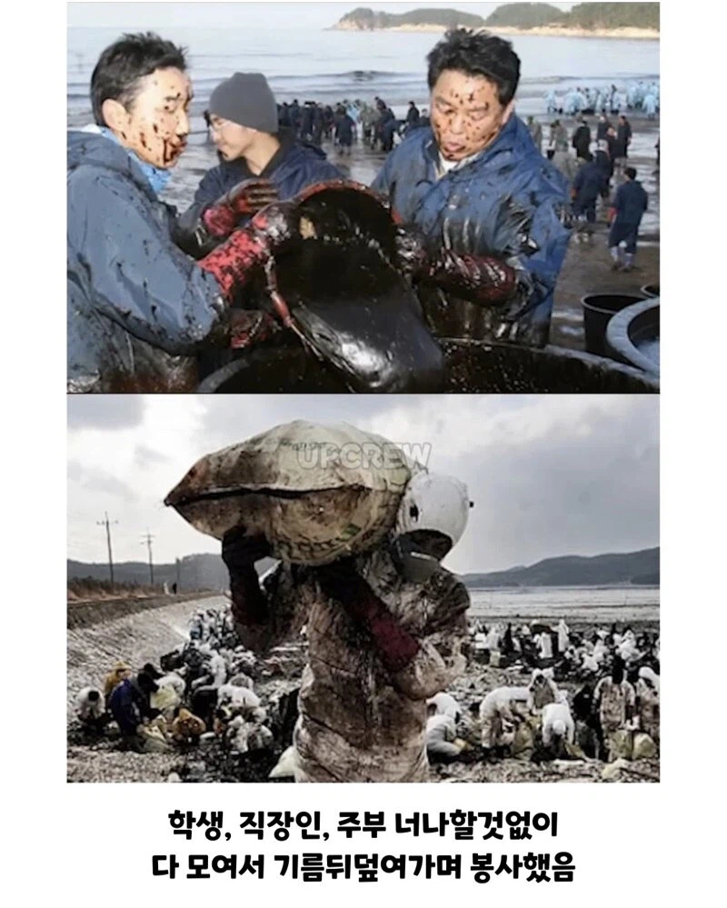 한국인들아 너희 그거 복구하는 데 20년 걸린다