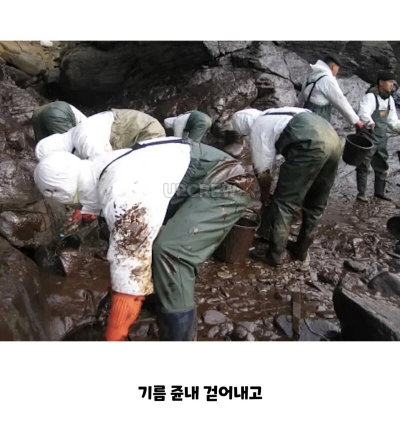 한국인들아 너희 그거 복구하는 데 20년 걸린다
