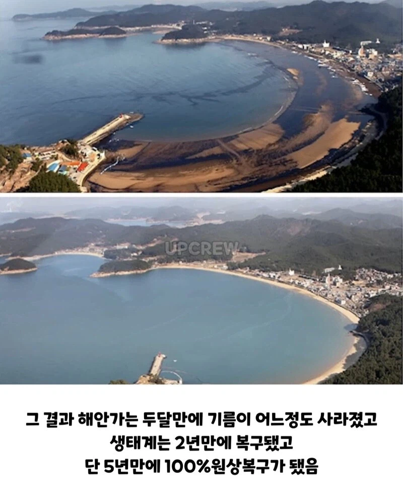 한국인들아 너희 그거 복구하는 데 20년 걸린다