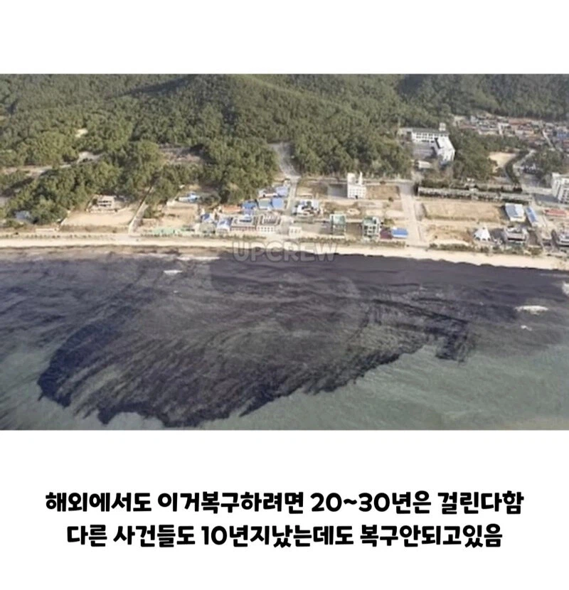 한국인들아 너희 그거 복구하는 데 20년 걸린다