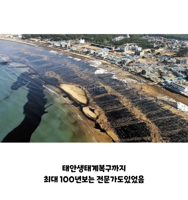 한국인들아 너희 그거 복구하는 데 20년 걸린다