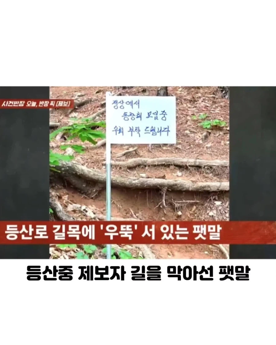 정신 나갔다는 등산 동호회 근황.jpg