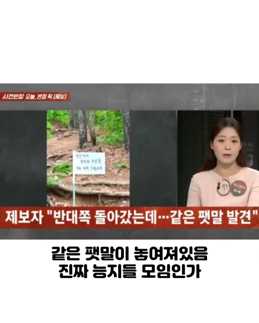 정신 나갔다는 등산 동호회 근황.jpg