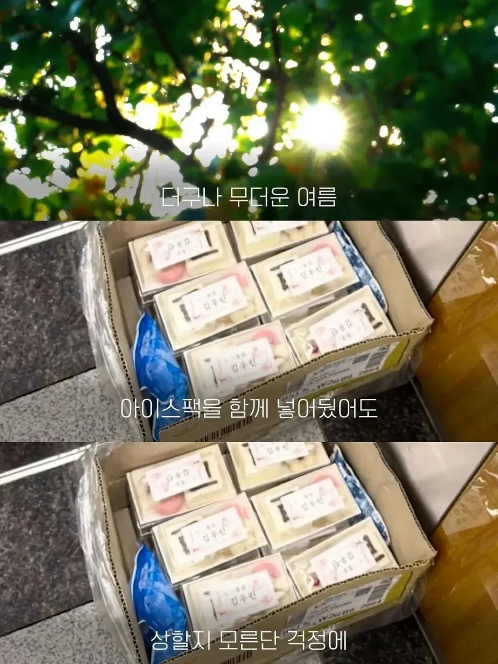 "100일 떡 가져가세요" 엘베에 두었더니 이웃들의 반응이 ㄷㄷ.jpg