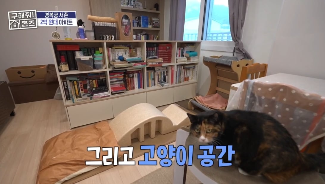 구해줘 홈즈 서울 종로구 통인동 매매가 3억 3천인 1969년 준공된 아파트
