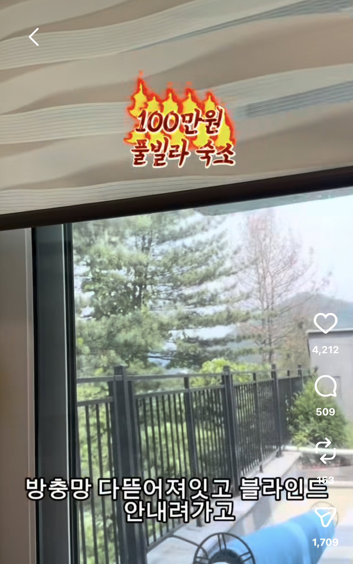 냉수물추가 10만원. 인스타에서 난리난 100만원 풀빌라.