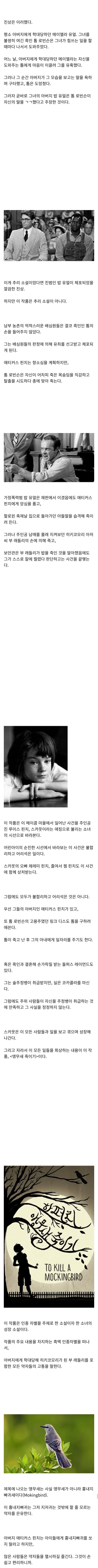 스압 아이들아 앵무새를 죽이지 마렴 story