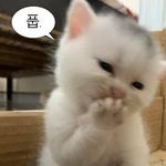 블라 미국 주식 처음하는 네이버 직원
