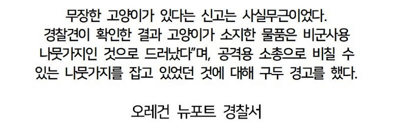 “나무 위에 소총 든 고양이가 있어요” 신고, 확인 결과