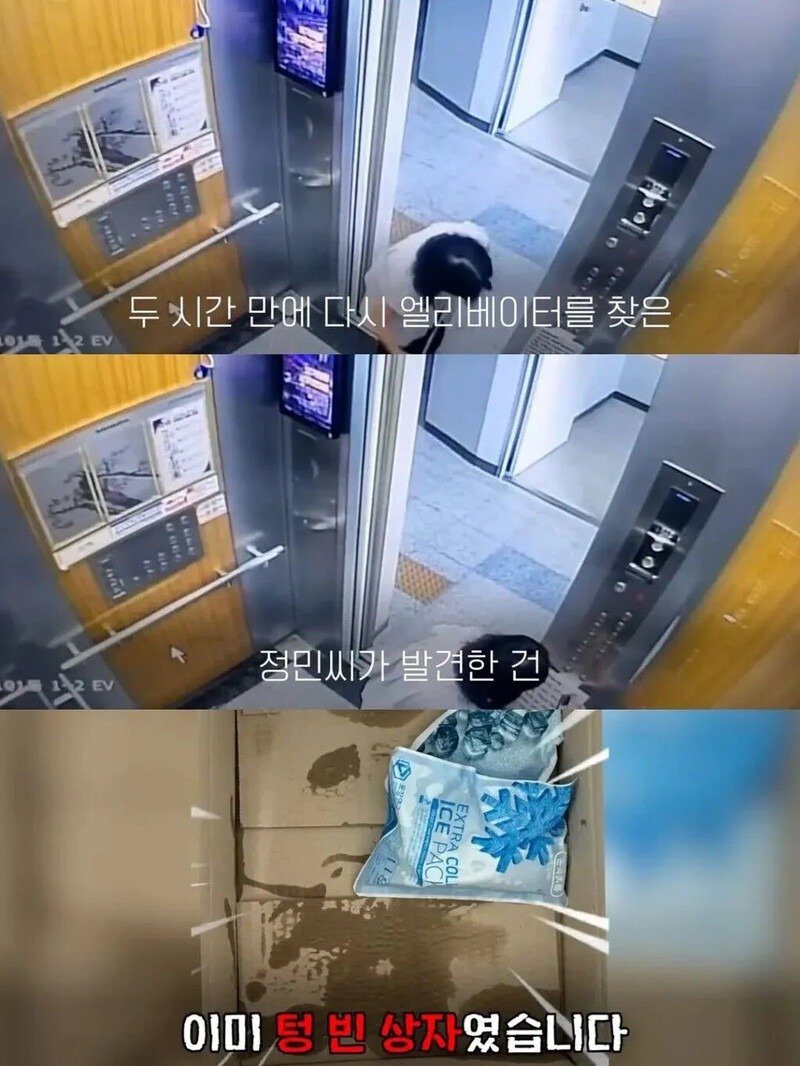 백일떡을 엘리베이터에 두었더니 이웃들 반응