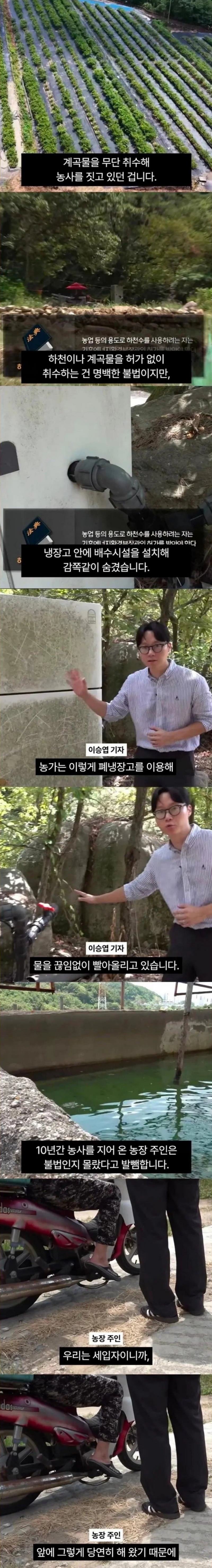 1급 생태하천 말라가는데 황당한 물 도둑
