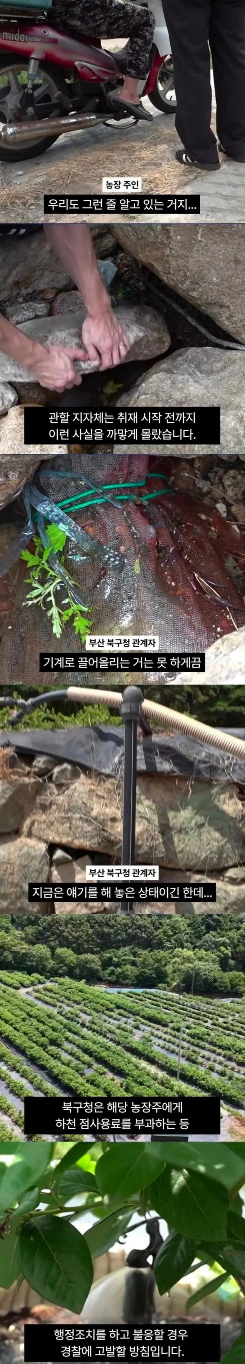 1급 생태하천 말라가는데 황당한 물 도둑