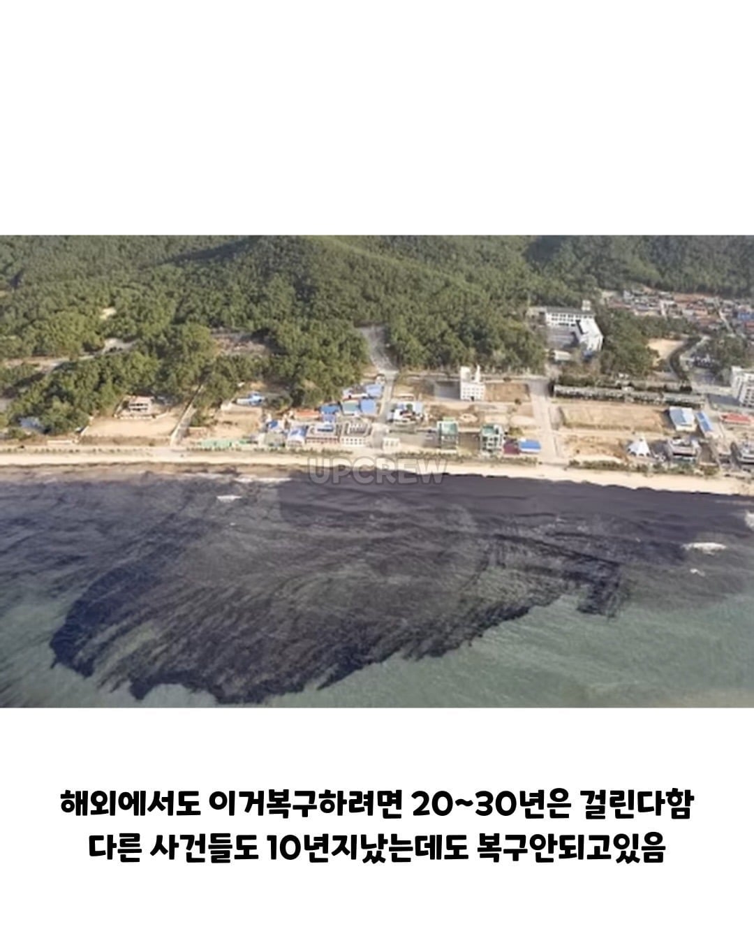 태안바다 복구하려면 최소 20년 걸린다 들은 한국인들.