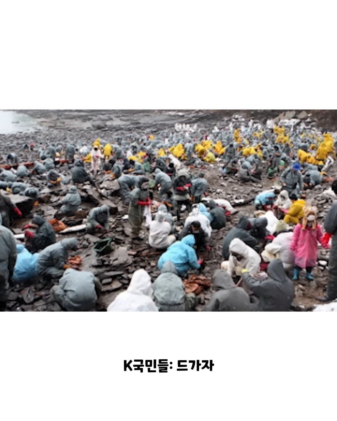 태안바다 복구하려면 최소 20년 걸린다 들은 한국인들.