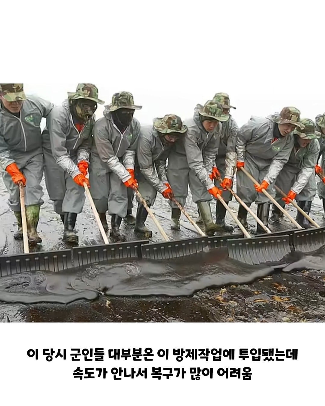 태안바다 복구하려면 최소 20년 걸린다 들은 한국인들.