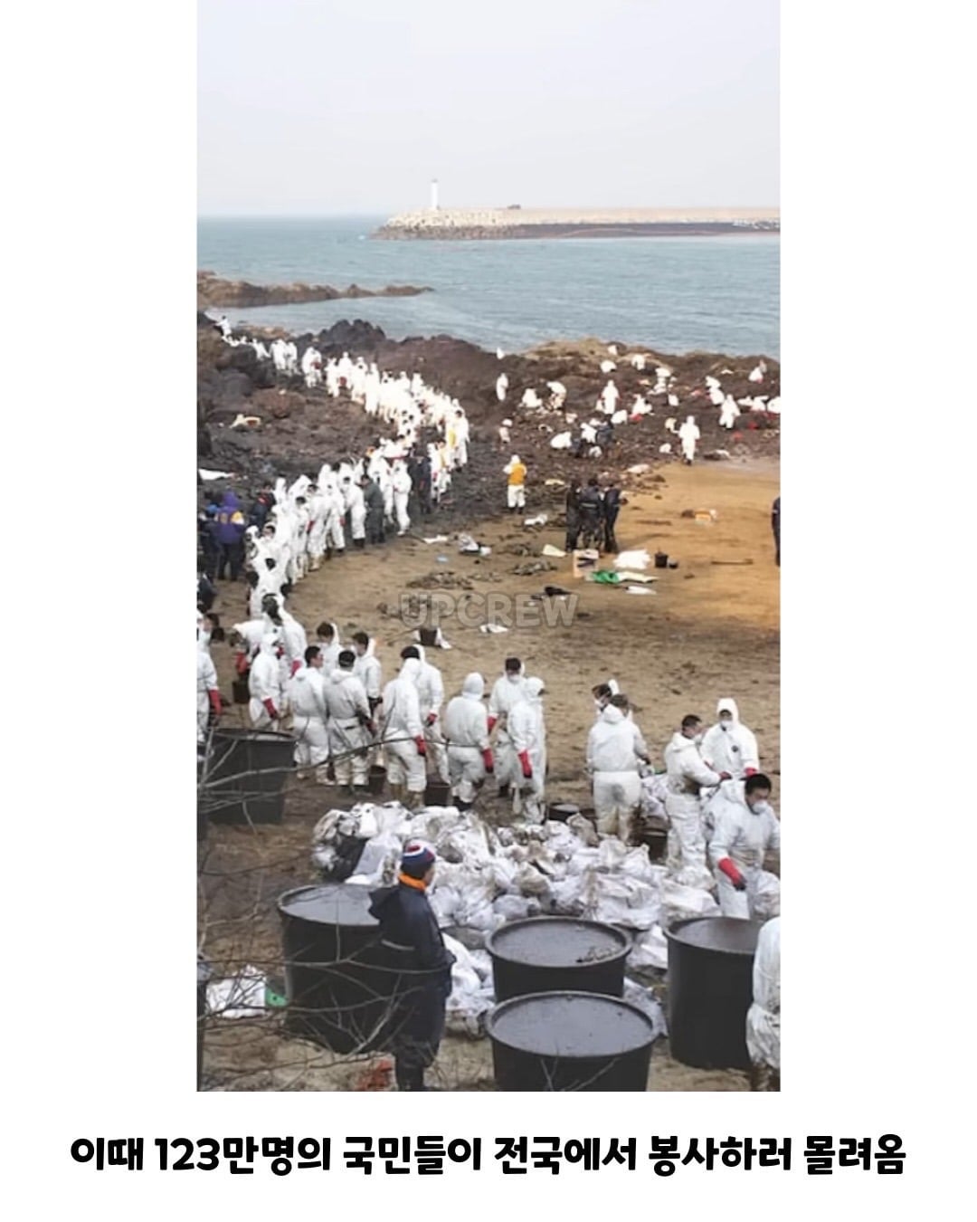 태안바다 복구하려면 최소 20년 걸린다 들은 한국인들.