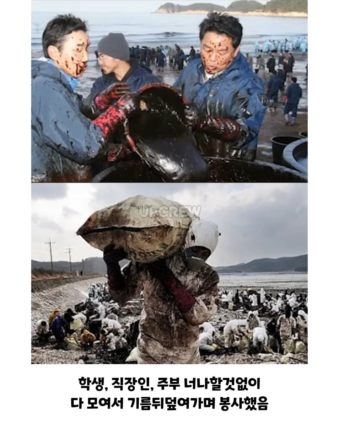 태안바다 복구하려면 최소 20년 걸린다 들은 한국인들.