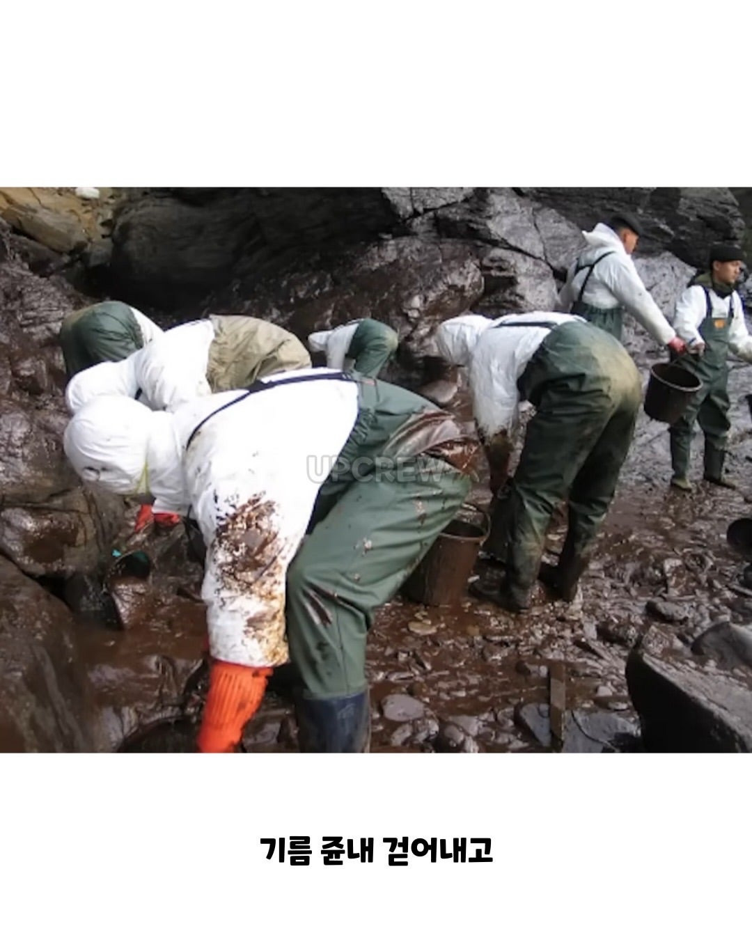 태안바다 복구하려면 최소 20년 걸린다 들은 한국인들.