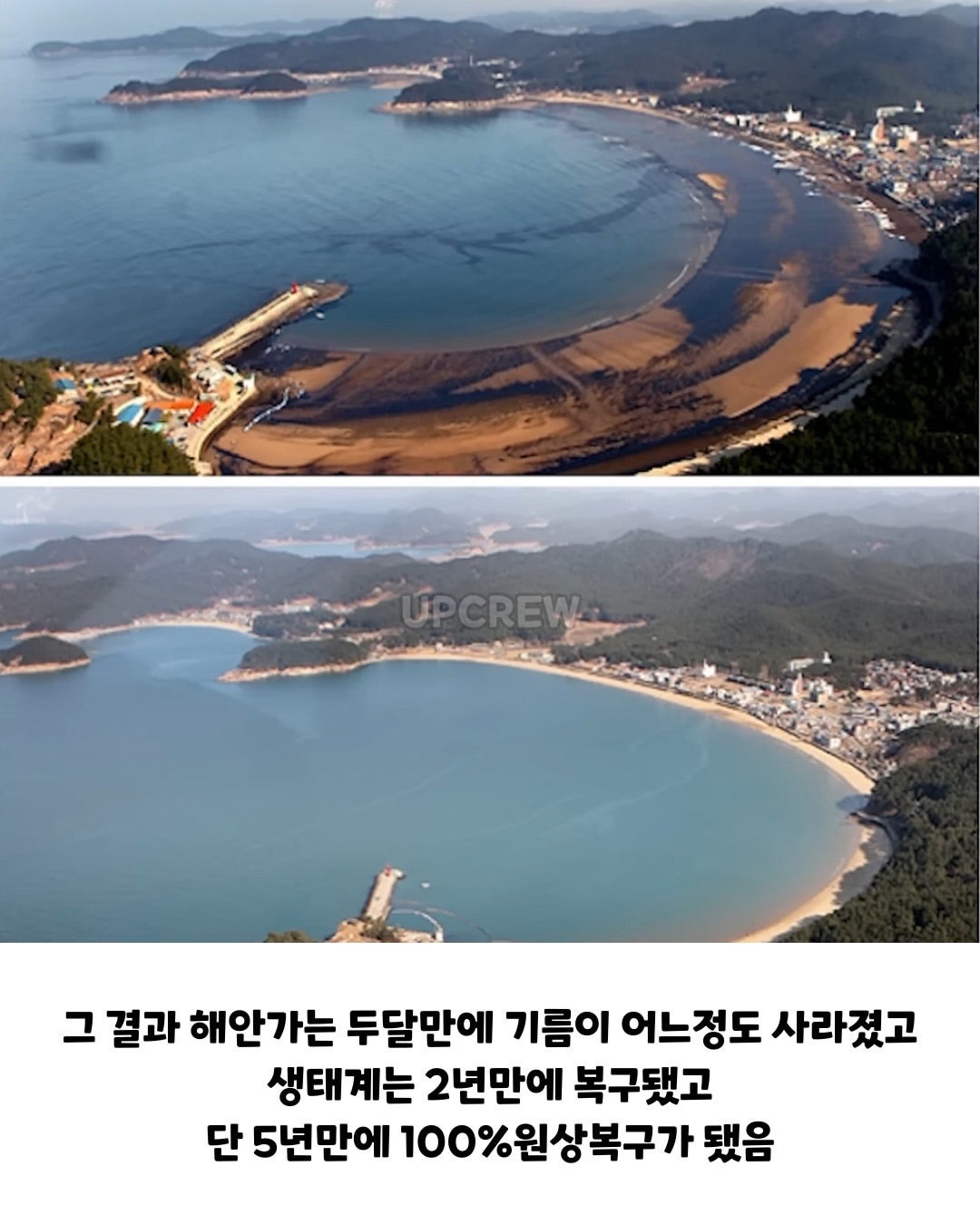 태안바다 복구하려면 최소 20년 걸린다 들은 한국인들.