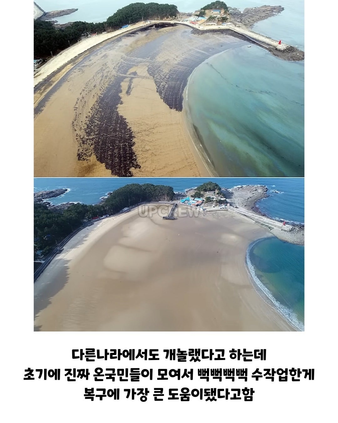 태안바다 복구하려면 최소 20년 걸린다 들은 한국인들.