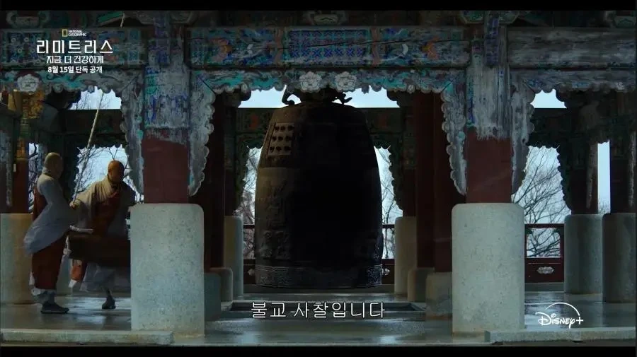 디즈니가 생각하는 한국 불교