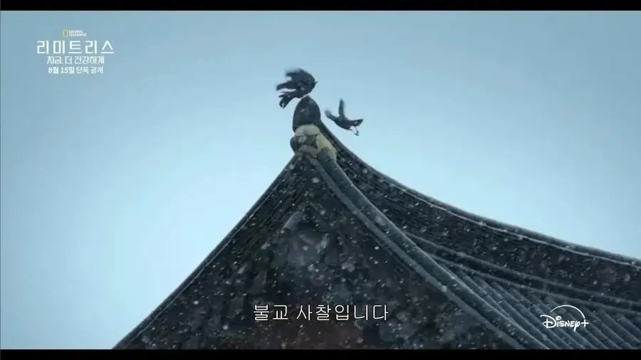 디즈니가 생각하는 한국 불교