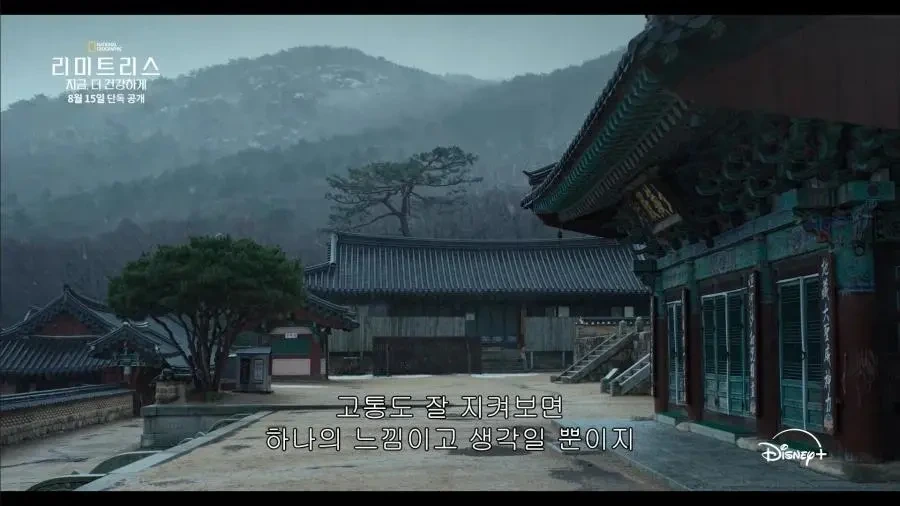 디즈니가 생각하는 한국 불교