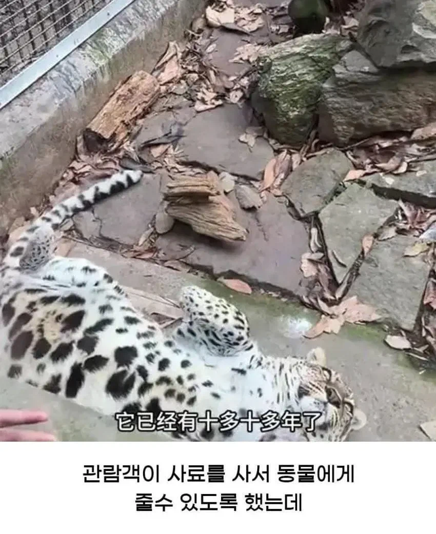 싱글벙글 10만원 주고 본 “아이맥스 오딧세이” 대참사