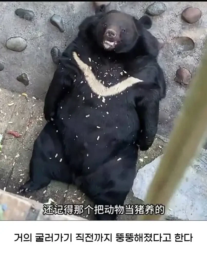 싱글벙글 10만원 주고 본 “아이맥스 오딧세이” 대참사