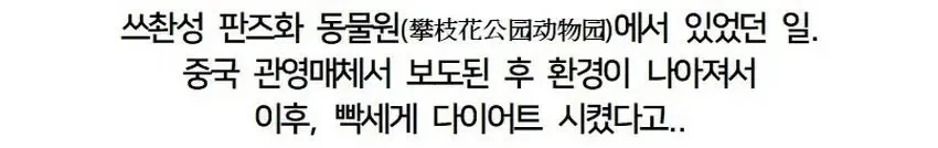 싱글벙글 10만원 주고 본 “아이맥스 오딧세이” 대참사