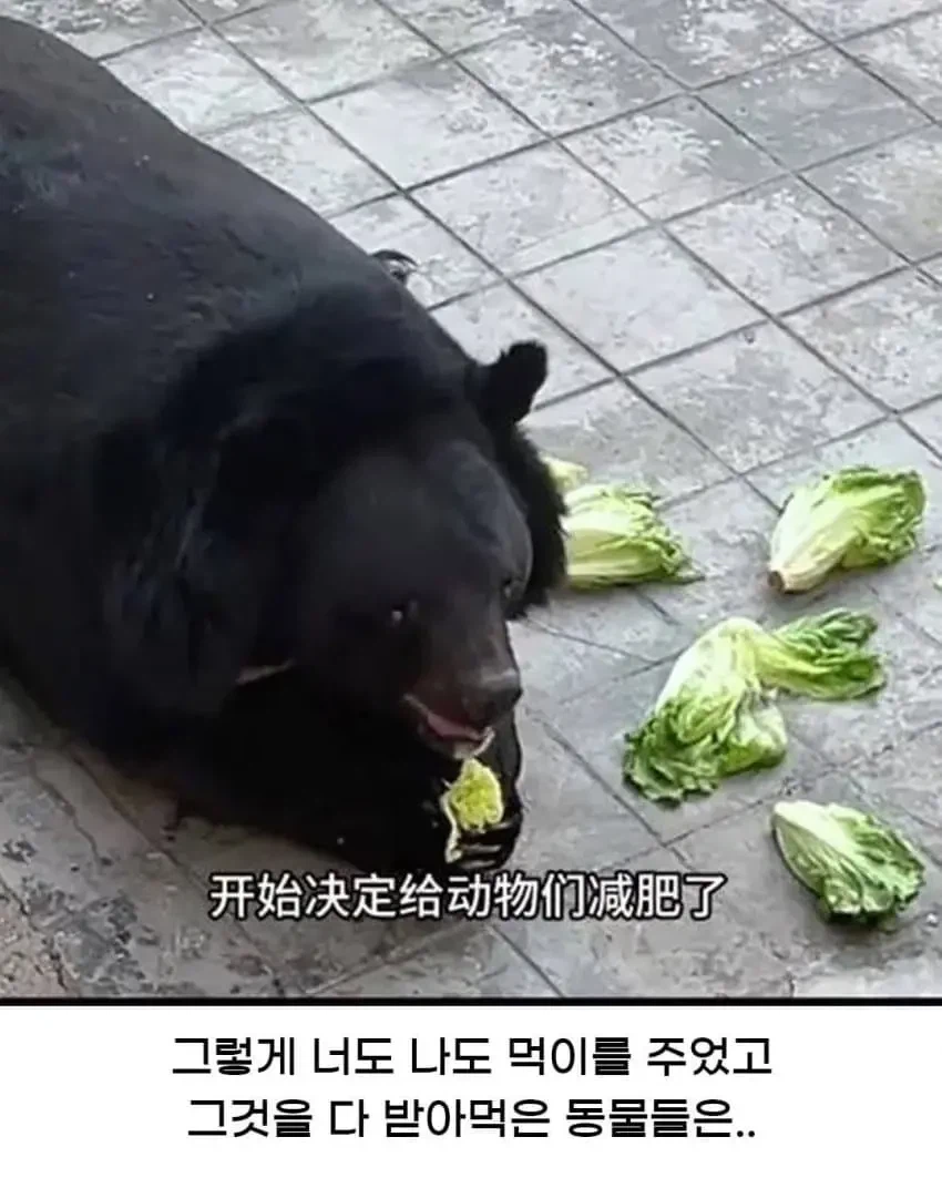 싱글벙글 10만원 주고 본 “아이맥스 오딧세이” 대참사