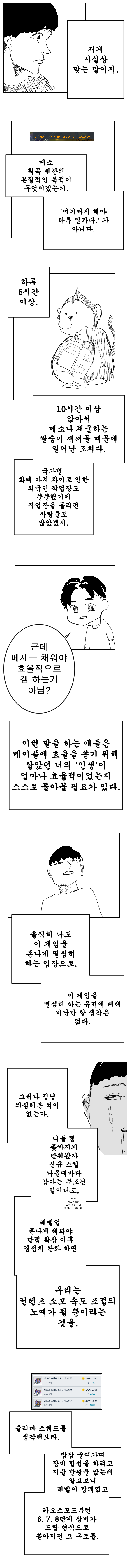 메이플) 5석펫 유저가 메이플을 바라보는 시각