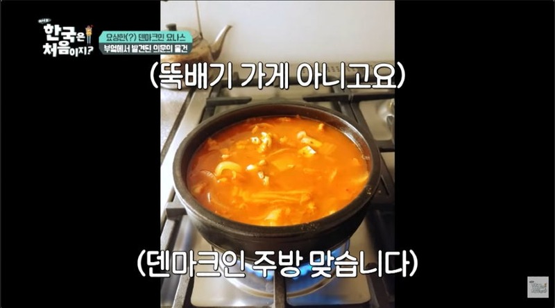 어서와 한국 삼겹살때문에 채식주의 포기하고 한국 오타쿠된 덴마크