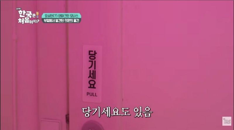 어서와 한국 삼겹살때문에 채식주의 포기하고 한국 오타쿠된 덴마크
