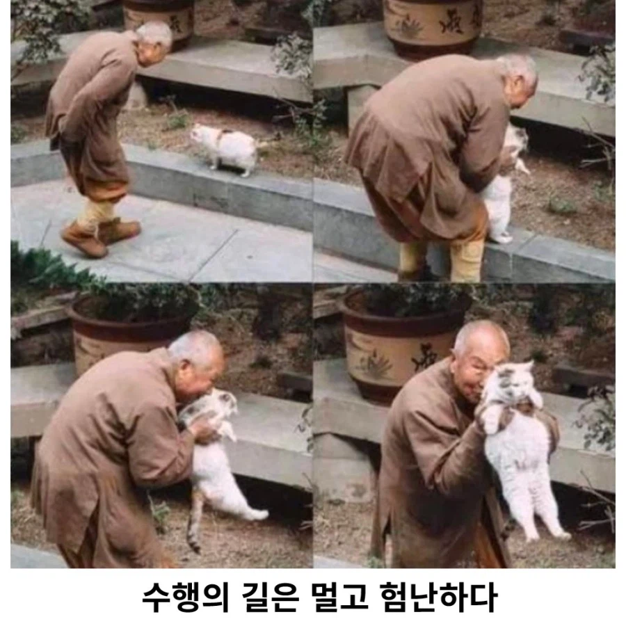 모든 욕망을 끊어낸 스님도 못참는것