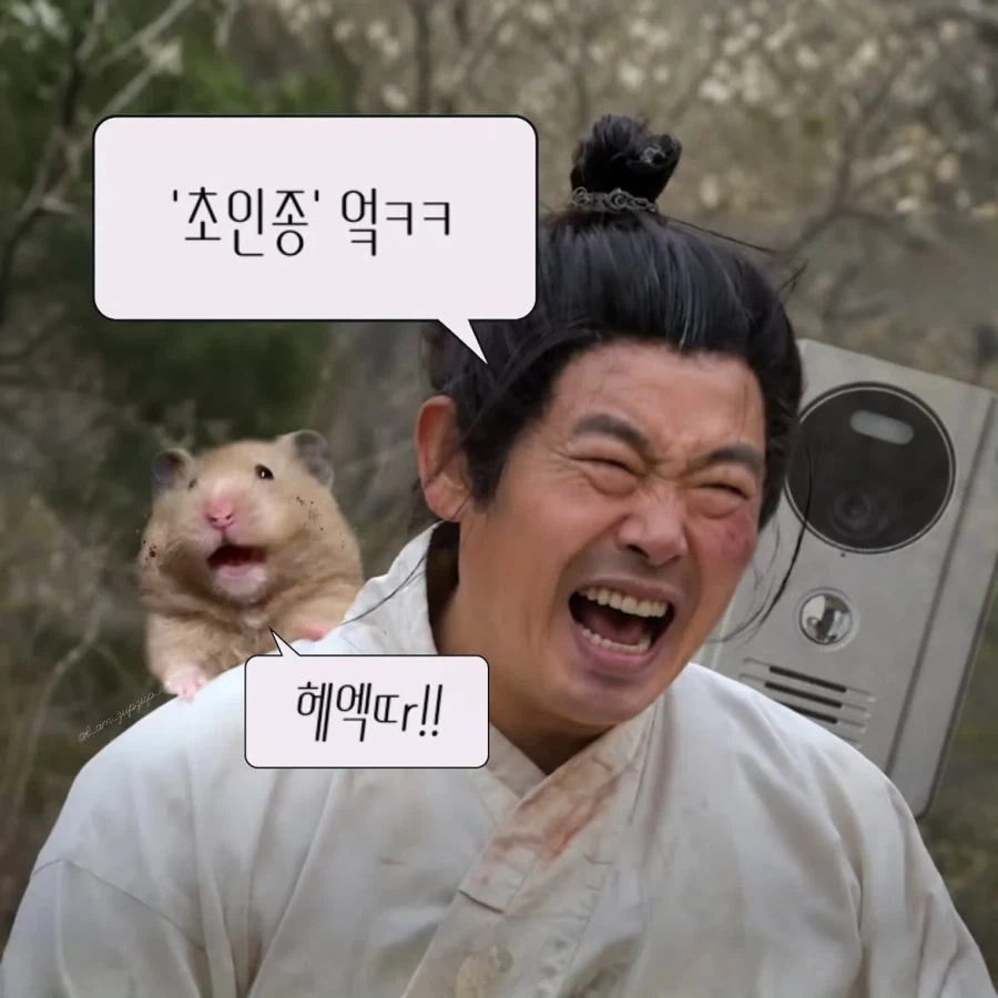 노비가 하늘을 날면 뭔지 아느냐?
