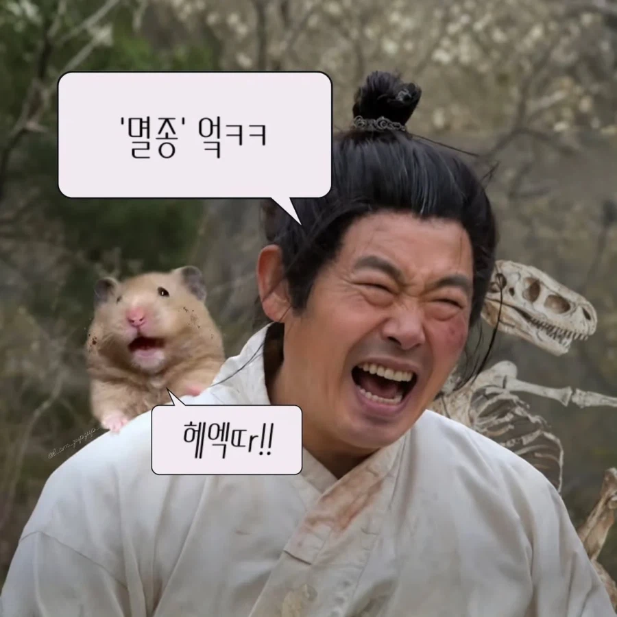 노비가 하늘을 날면 뭔지 아느냐?