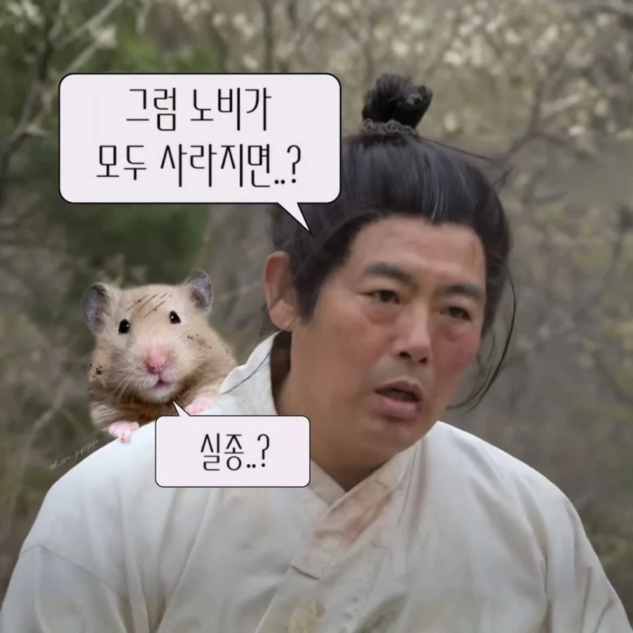 노비가 하늘을 날면 뭔지 아느냐?