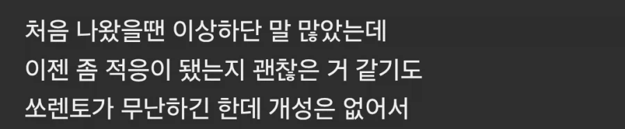 그래도 볼수록 정감가는 차 디자인 .jpg