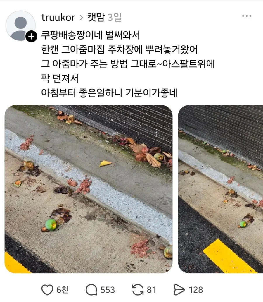 임자 제대로 만난 캣맘 ㅋㅋㅋㅋ